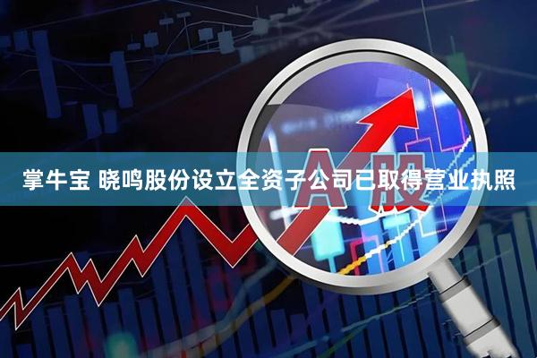 掌牛宝 晓鸣股份设立全资子公司已取得营业执照
